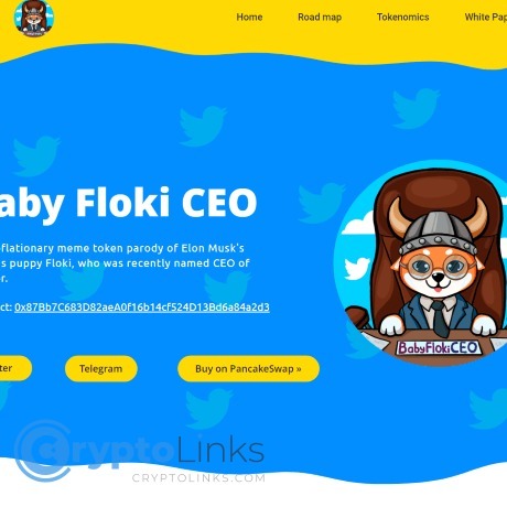 Baby Floki CEO