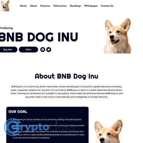 BNB DOG INU