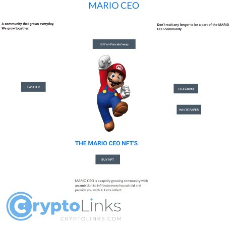 MARIO CEO