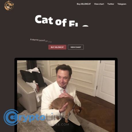 Cat of Elon