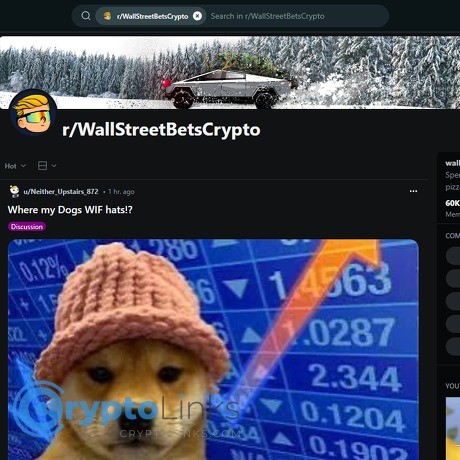 r/WallStreetBetsCrypto