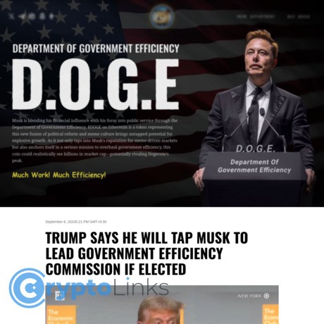 Department Of Government Efficiency D.O.G.E.