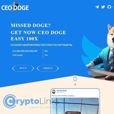 CEO DOGE