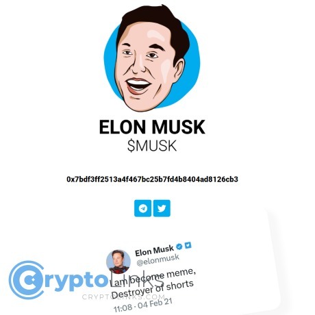 Elon Musk Coin