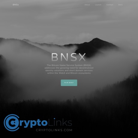 BNSX Token