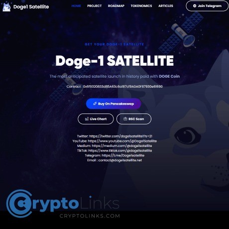 Doge-1 SATELLITE