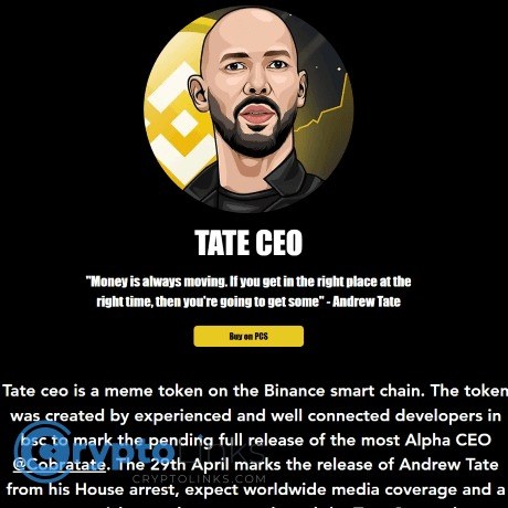 TATE CEO