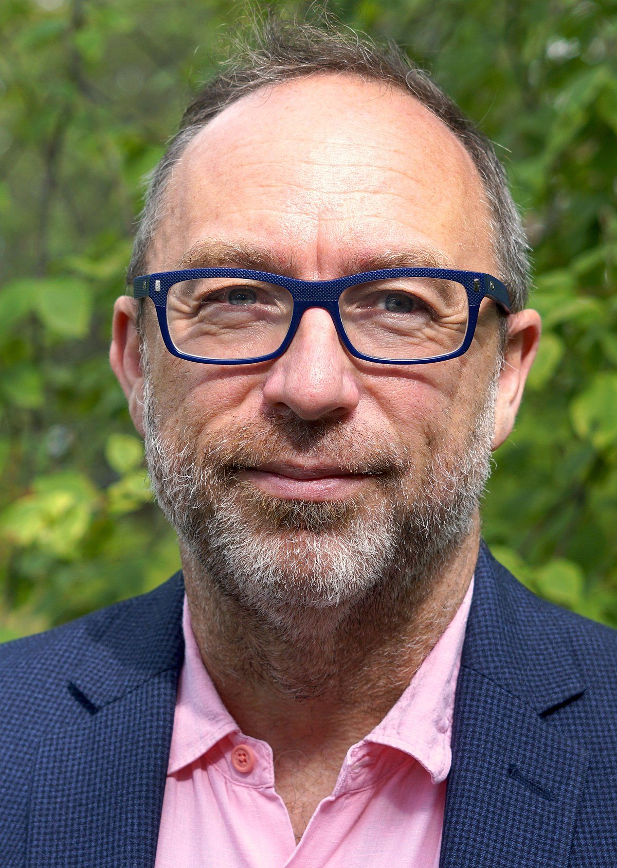 Jimmy wales, the co-founder of Wikipedia