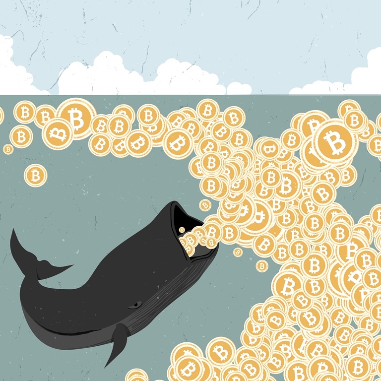 Crypto Whales Continue to Hodl