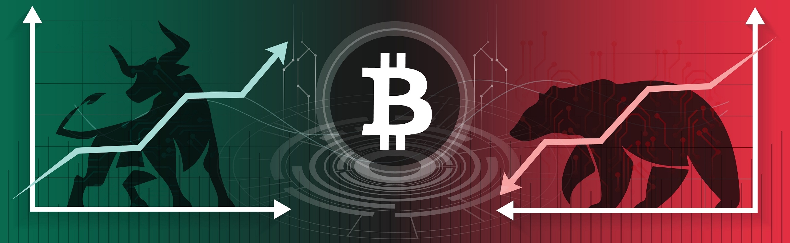 Bear and Bull Bitcoin Markets