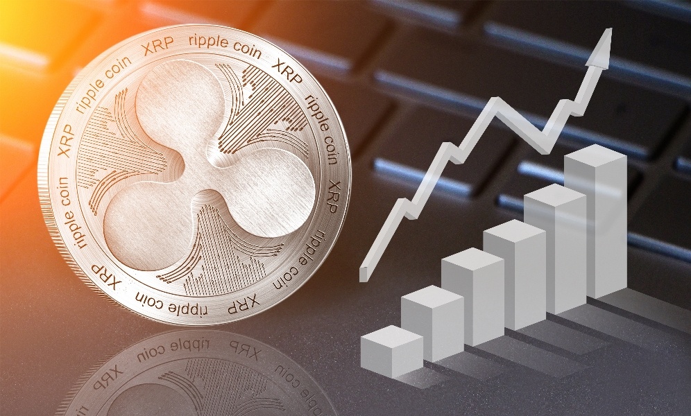 XRP (XRP) ROI