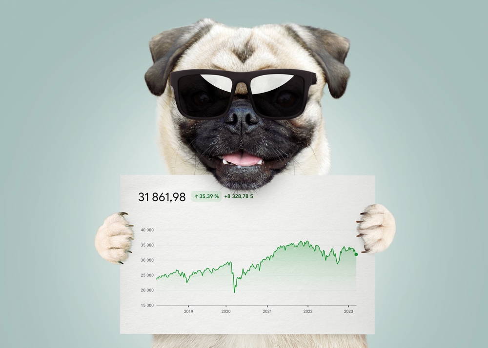 Cool successful business trader funny pug dog with sunglasses holding a white card with statistics and sales analytics.