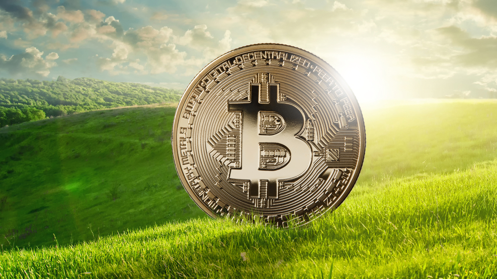 Gold coin bitcoin against the background of a green field, eco crypto and ICO concept