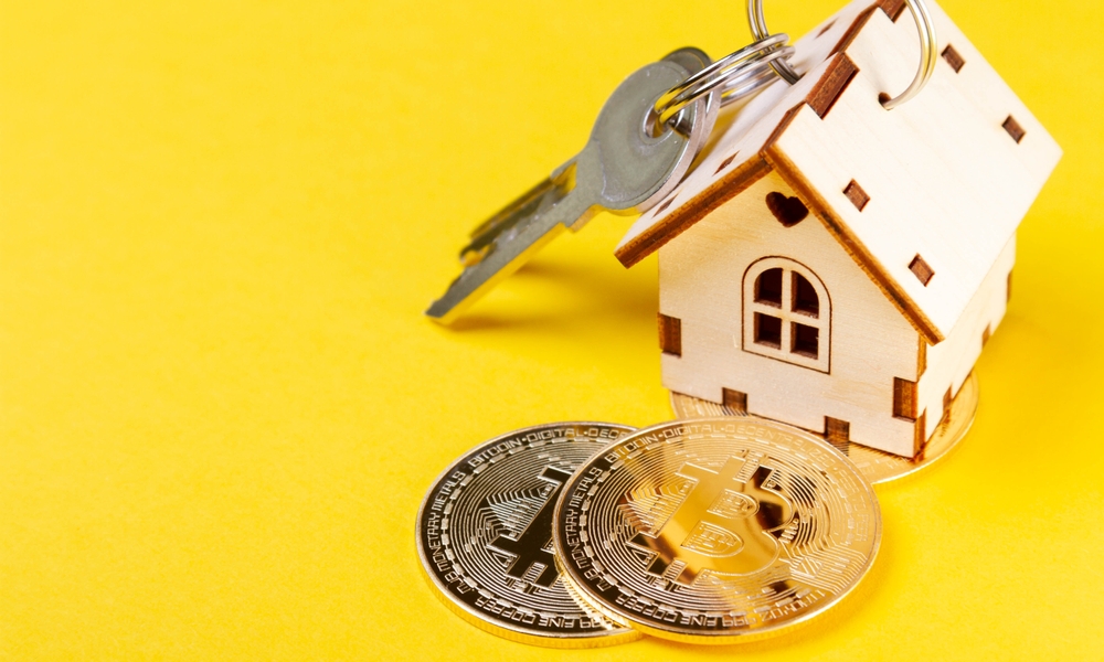 Buying real estate for cryptocurrency.