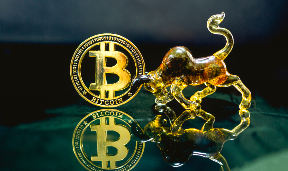 Digital coin money model Bitcoin ้and Bull model Lay on the reflective glass floor.