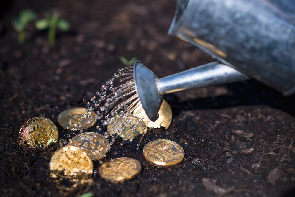 Golden bitcoins in the garden soil with watering can.