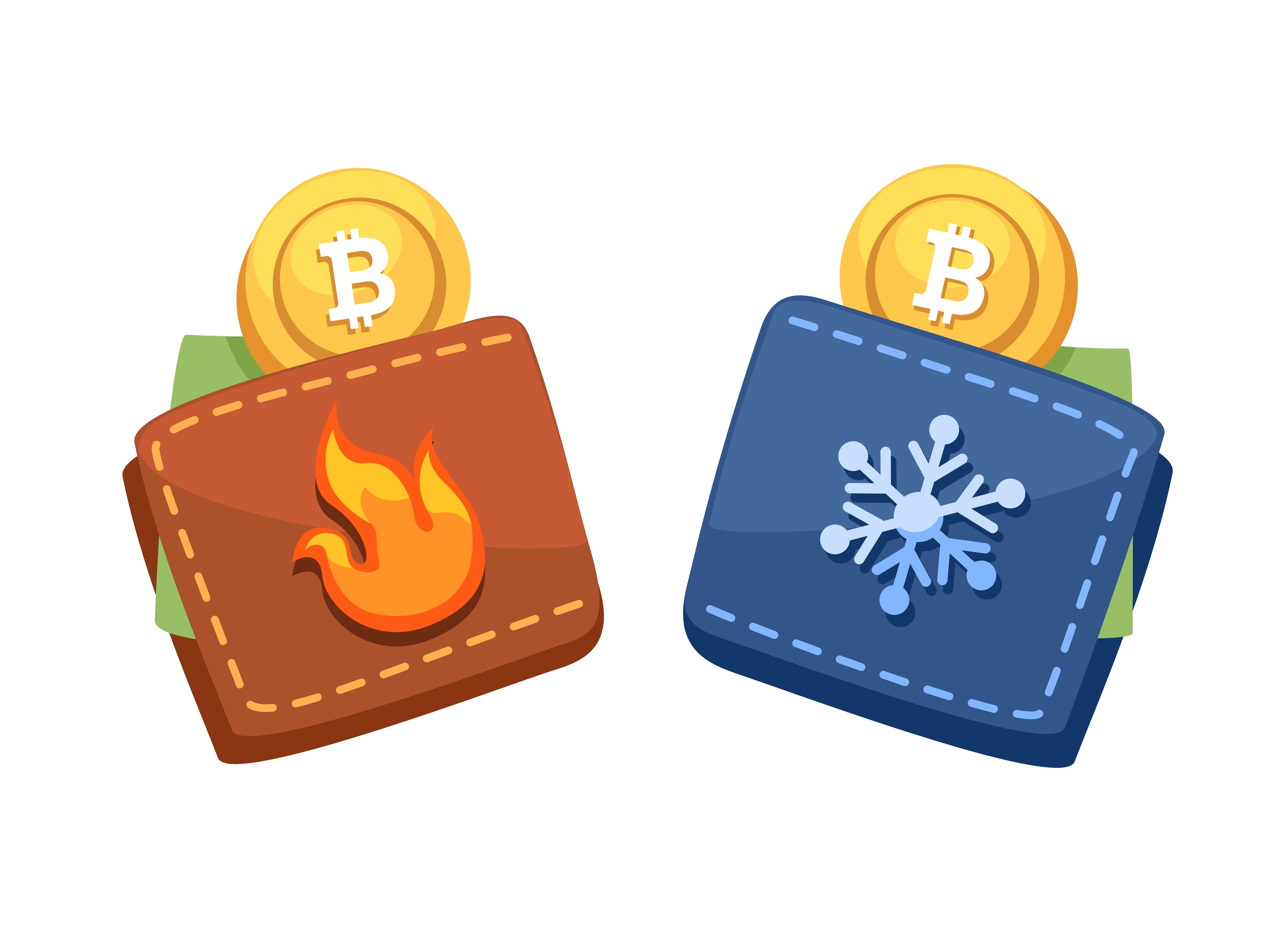 Hot And Cold Bitcoin Wallet Symbol Cartoon illustration Vector