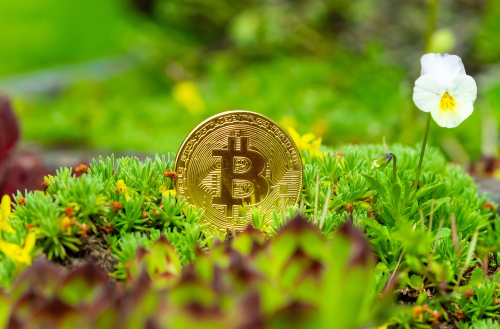 Bitcoin (BTC) in green flowerbed. Cryptocurrency ideas and future technology.