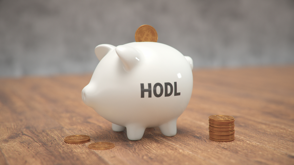 Bitcoin in HODL Piggy Bank