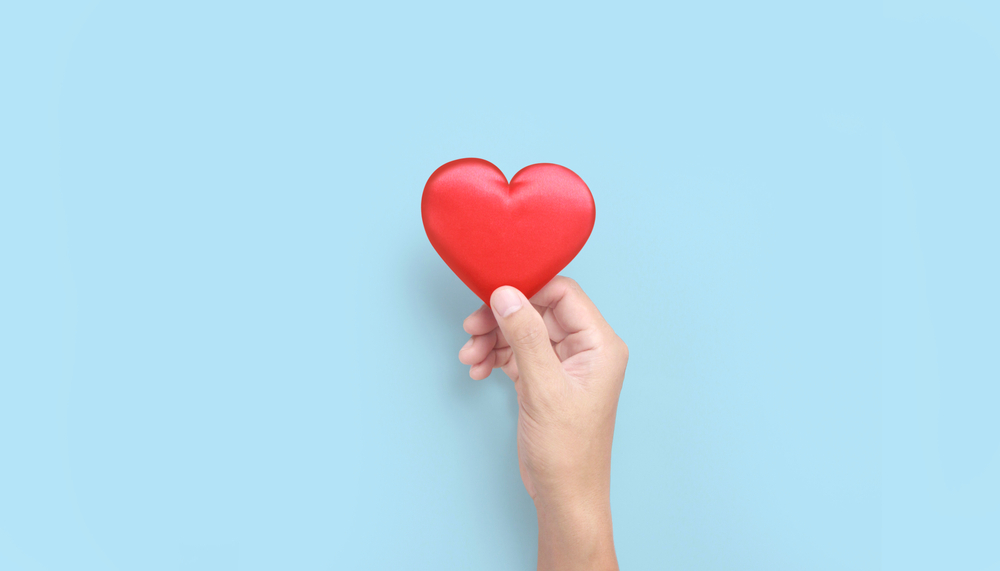 Hands holding a red heart. heart health donation concepts