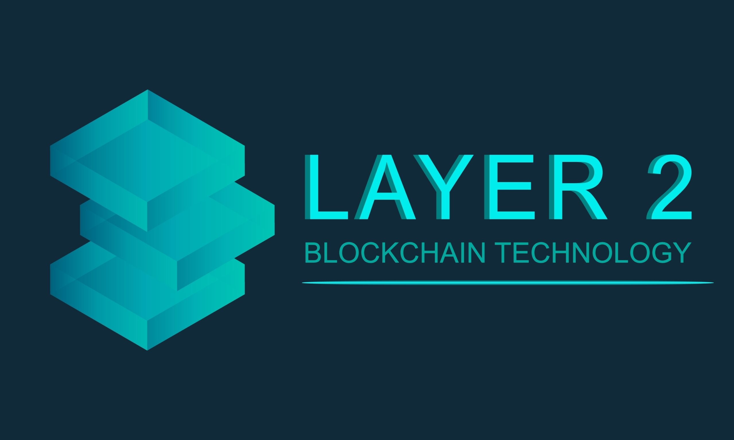 Layer 2 ecosystem, blockchain technology solutions.