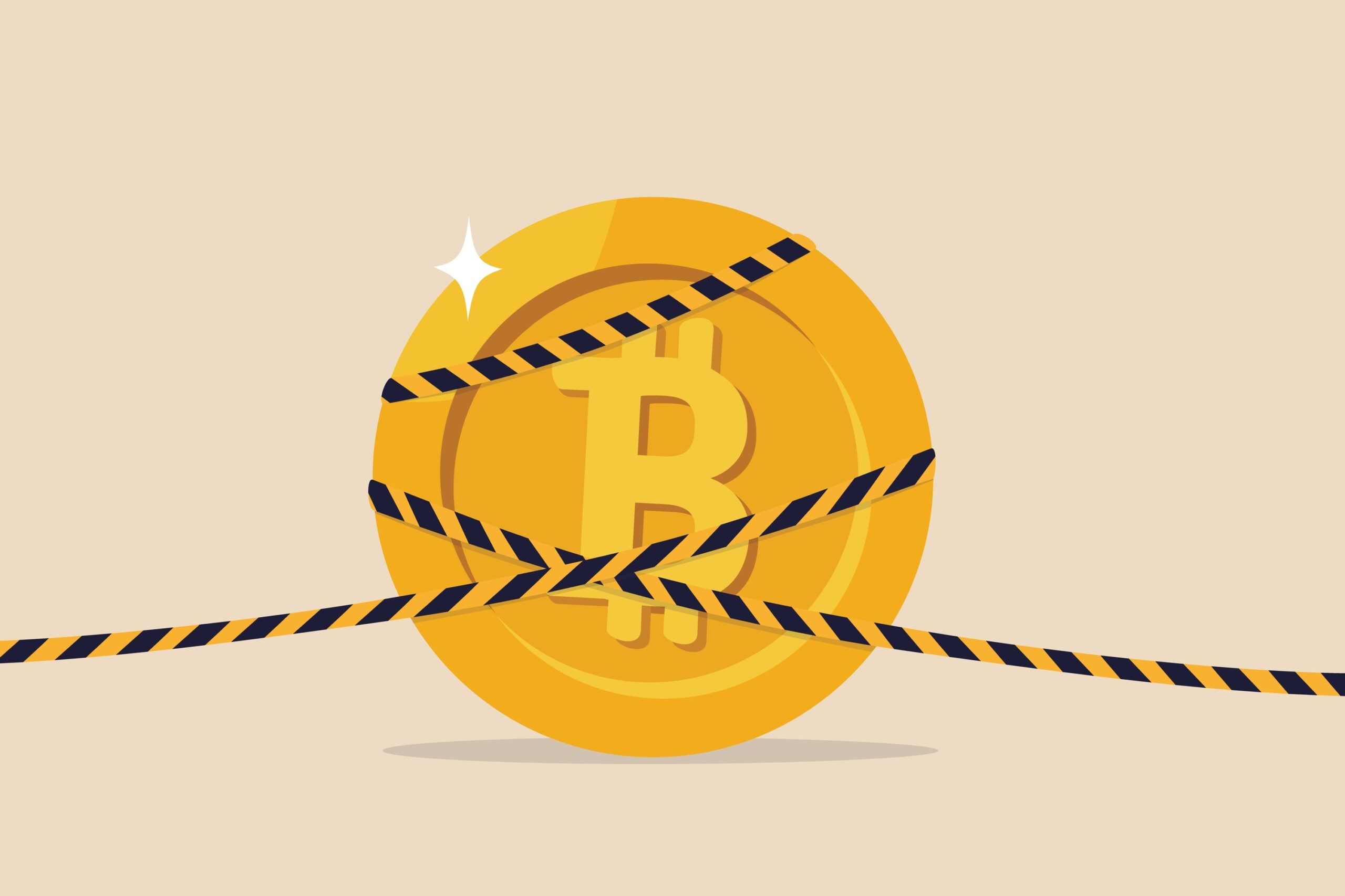 Bitcoin crypto currency banned, government monetary policy