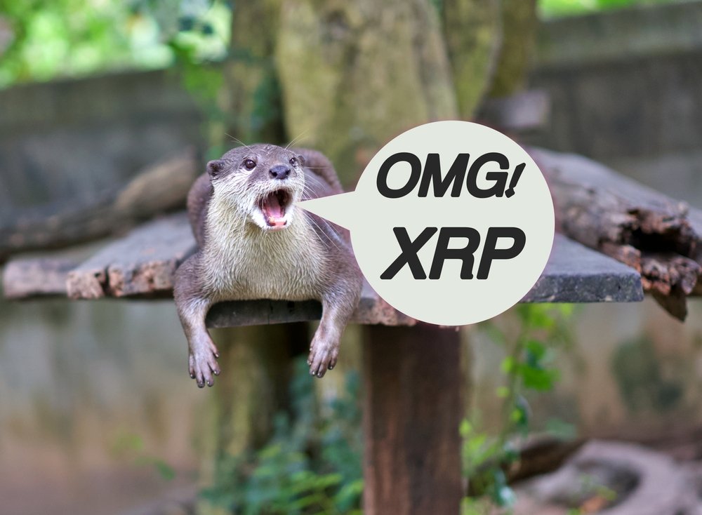 The pain right now XRP hype is loud, but good decisions are quiet